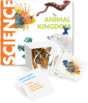 Animal Kingdom Book and Cards